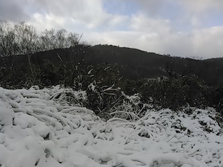 c0359615_20461004.jpg