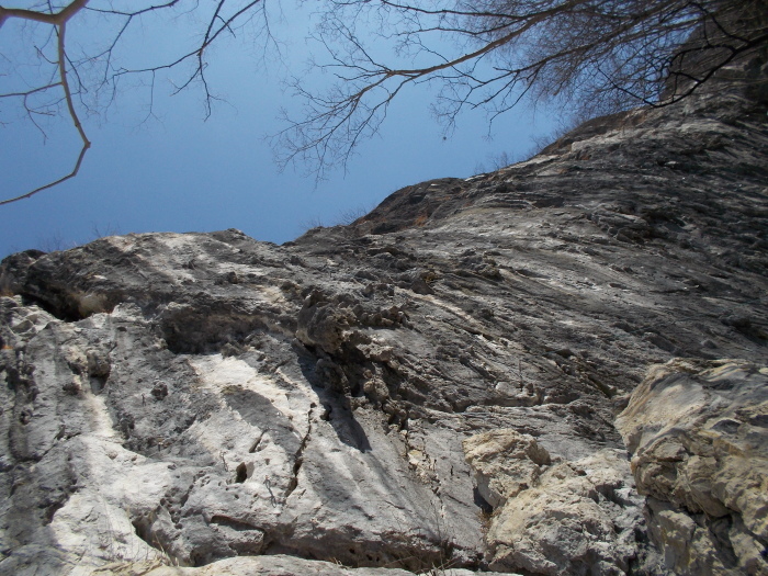 b0037220_22221859.jpg