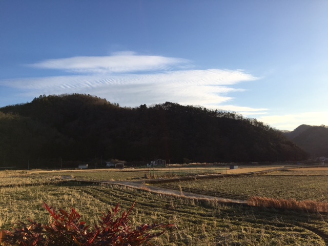 c0038722_9513579.jpg