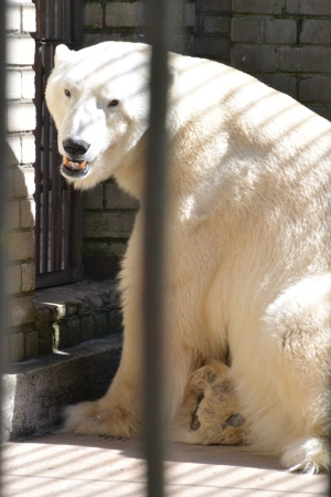 f0344626_01515305.jpg