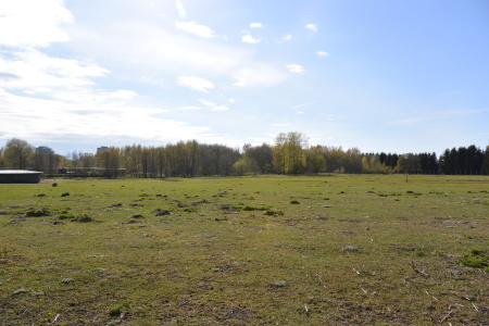 f0344626_11210260.jpg