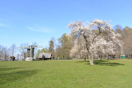 f0344626_11210717.jpg