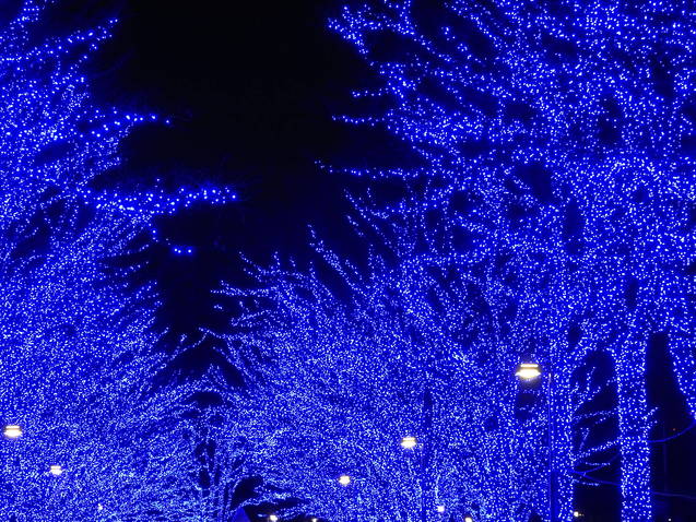 a0248728_22562575.jpg