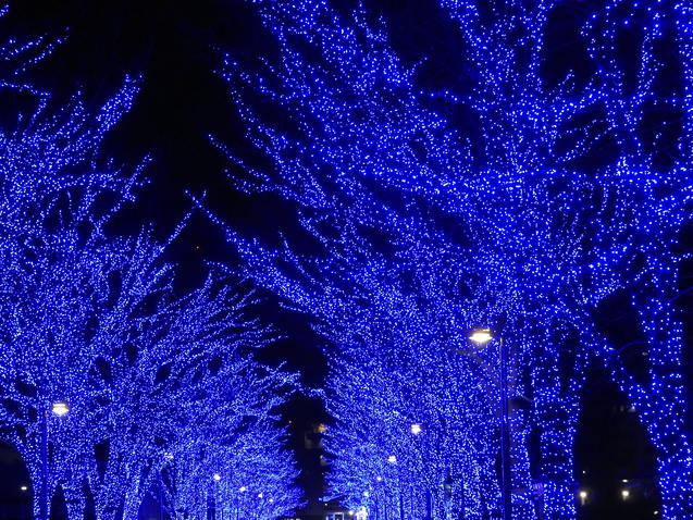 a0248728_22573924.jpg