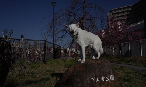 a0117039_23135898.jpg
