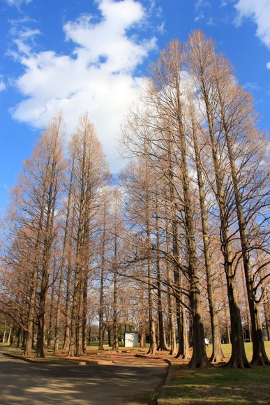 e0234741_21120729.jpg