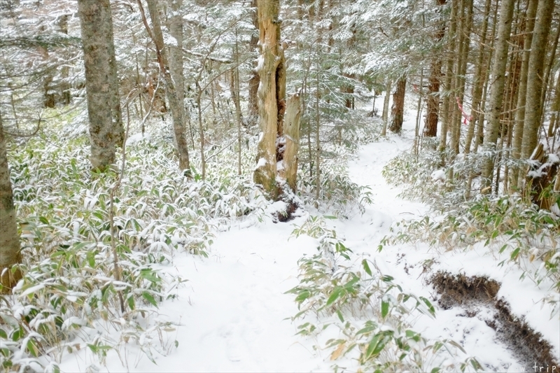 c0228945_18035226.jpg
