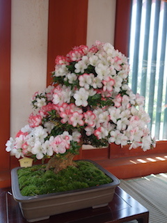 e0138350_15405314.jpg