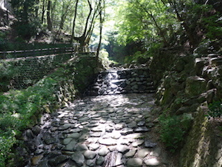 e0138350_20032160.jpg