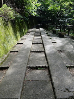 e0138350_20032180.jpg