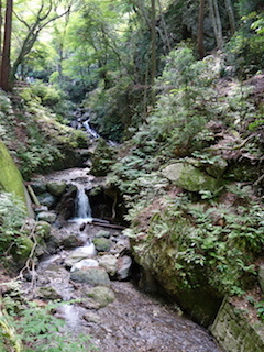 e0138350_20032181.jpg