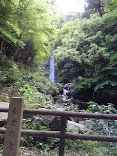 e0138350_20041206.jpg