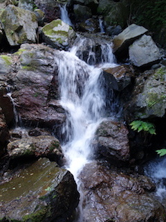 e0138350_20041267.jpg