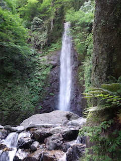 e0138350_20041323.jpg