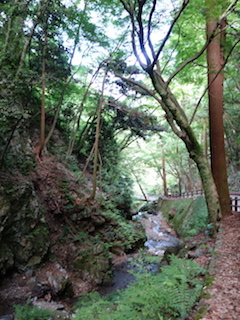 e0138350_20041332.jpg