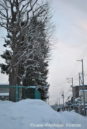 e0159050_16111071.jpg