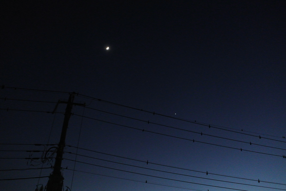 c0350853_17522149.jpg