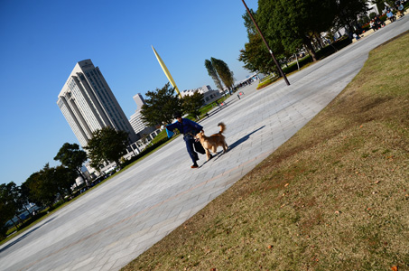 f0044853_11152283.jpg