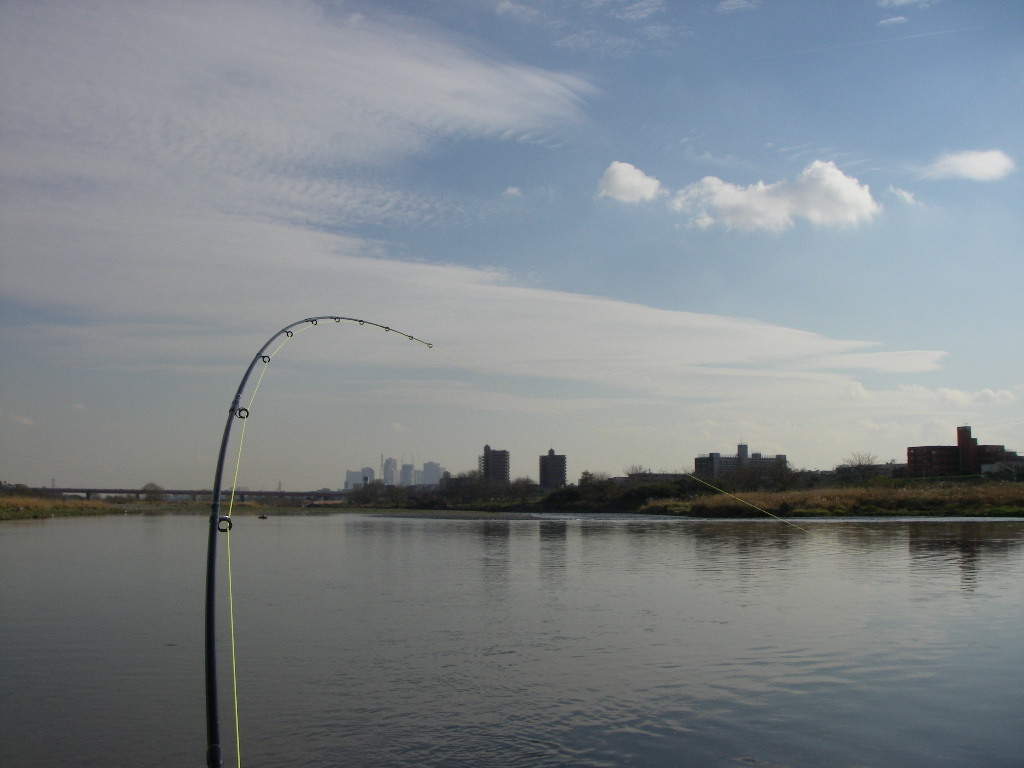 a0130057_00584896.jpg