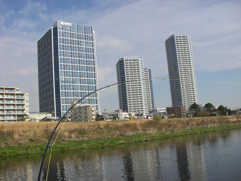 a0130057_01004753.jpg