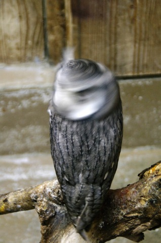 e0045768_21544766.jpg