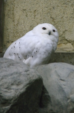 e0045768_2210557.jpg