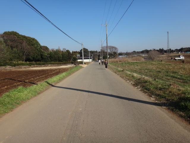 a0113874_16443460.jpg