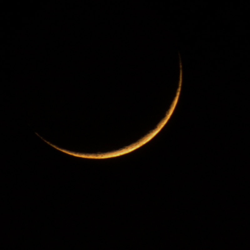 c0183777_1141764.jpg