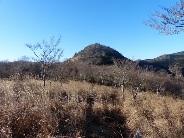 f0357487_22364799.jpg