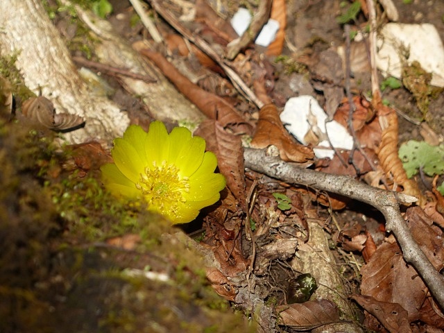 f0357487_22442782.jpg