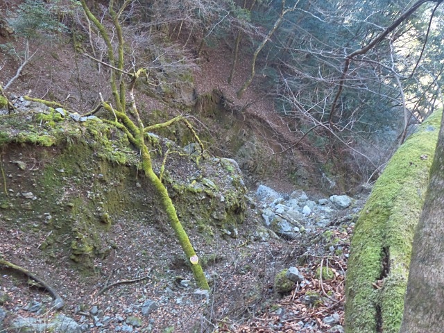 f0357487_2254891.jpg