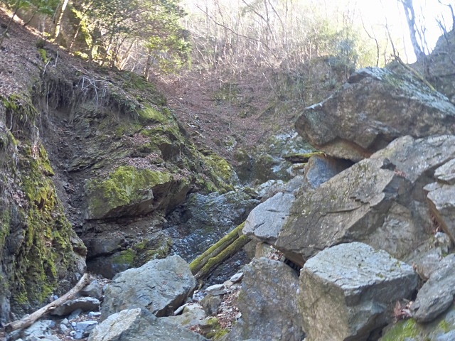 f0357487_2256195.jpg