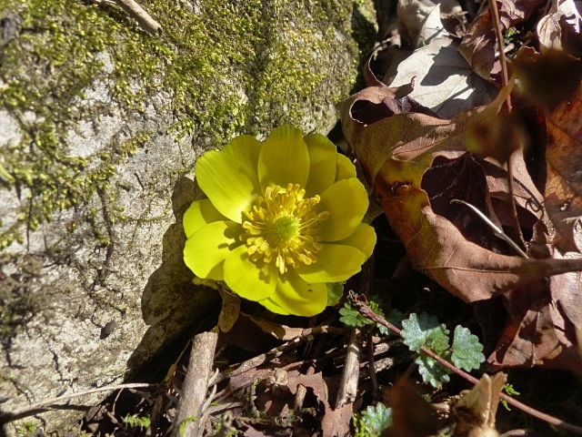 f0357487_234206.jpg