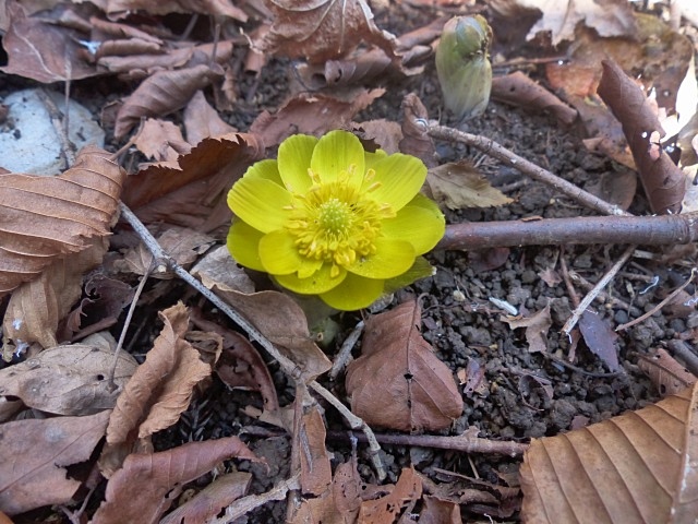 f0357487_2344894.jpg