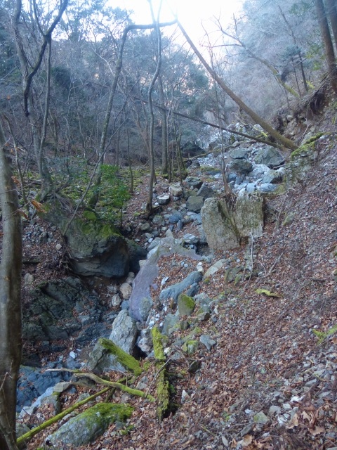 f0357487_237568.jpg
