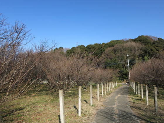 f0176688_13423280.jpg