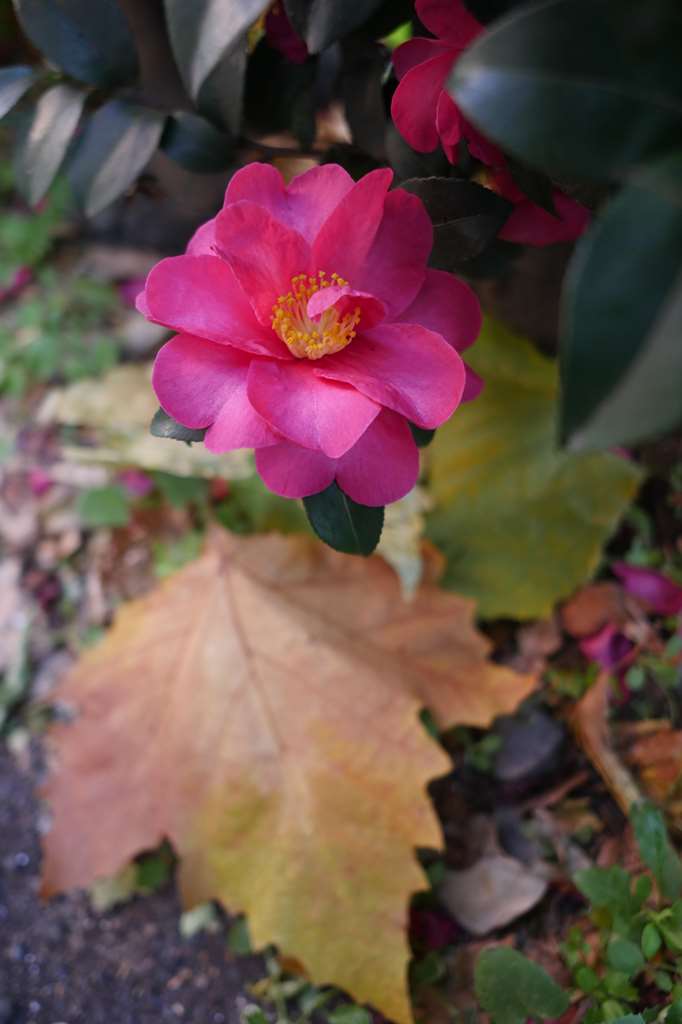 f0224100_22501454.jpg