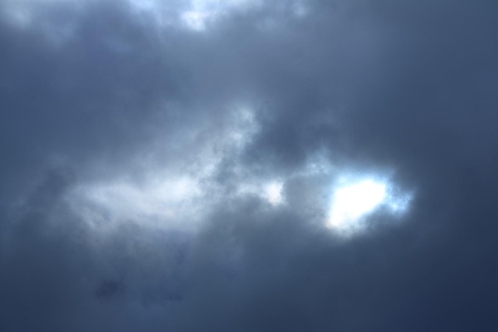 a0155104_22102459.jpg