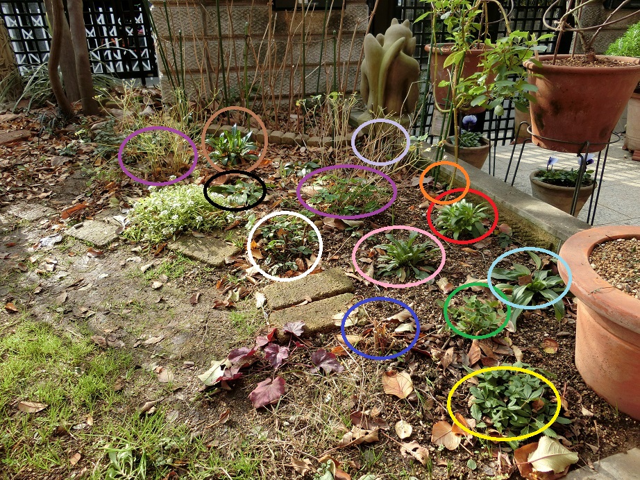 e0234004_22301393.jpg