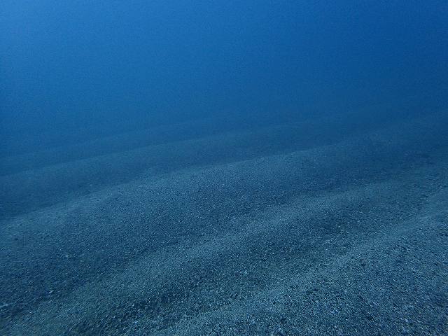 d0175710_23574735.jpg