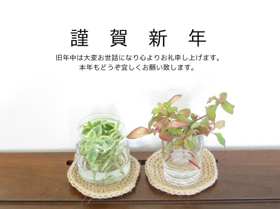 d0160611_16412417.png