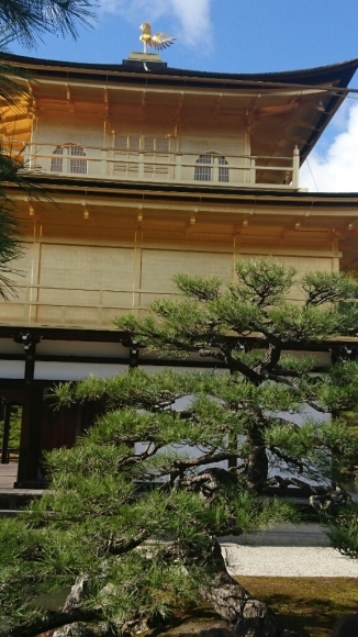 d0326314_11405949.jpg