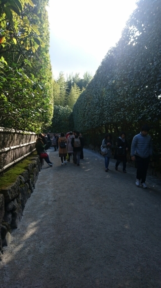 d0326314_11553639.jpg