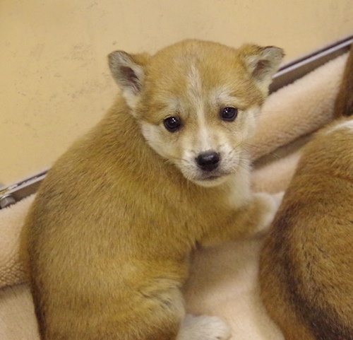 f0078320_2326315.jpg