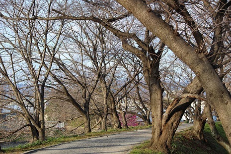 c0280322_22331468.jpg