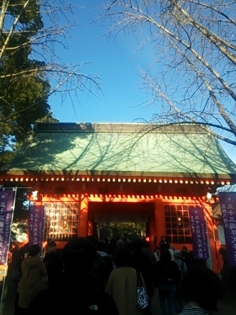 b0082125_15333117.jpg