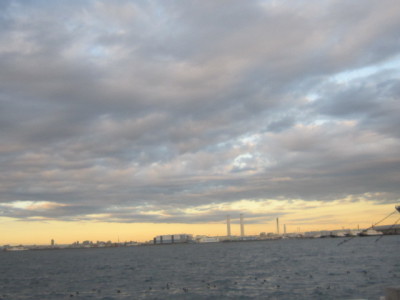 d0162225_20051131.jpg