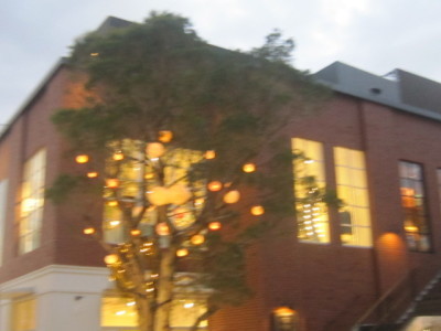 d0162225_20091564.jpg