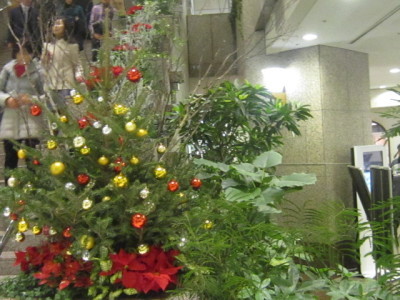 d0162225_20320180.jpg