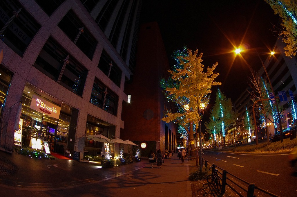 c0106831_19432599.jpg